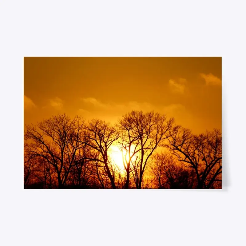 Beautiful Orange Sunset Photo